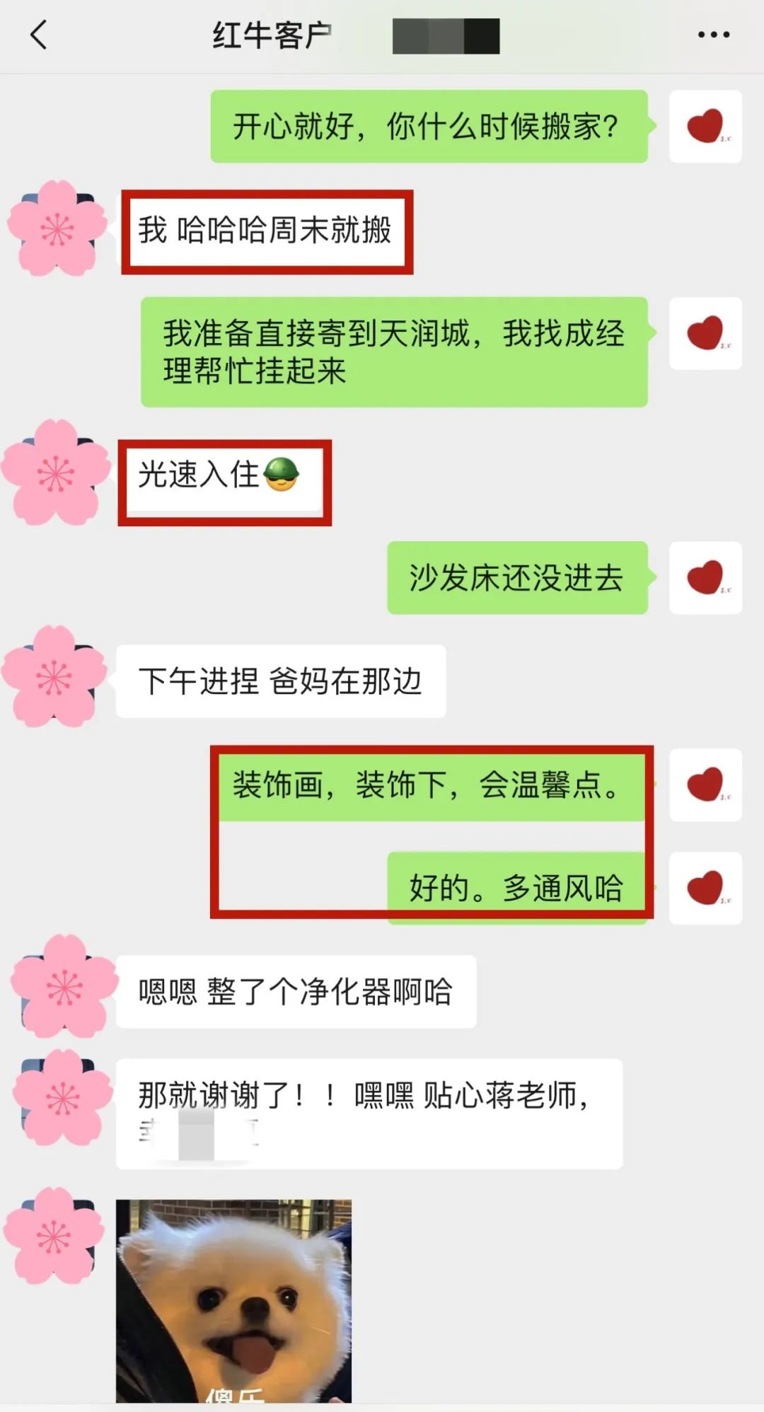 喜報｜金秋十月，收獲滿滿，紅牛裝飾再獲三面錦旗！05